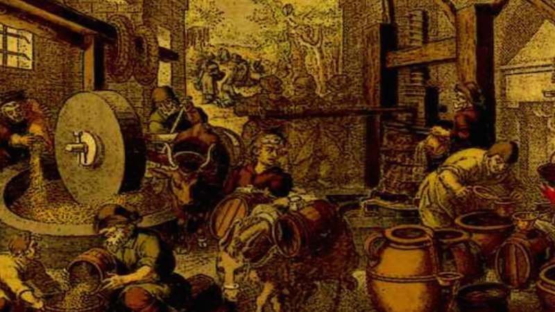 historia del aceite de oliva